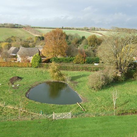 维斯科特住宿加早餐旅馆 Shalbourne 外观 照片
